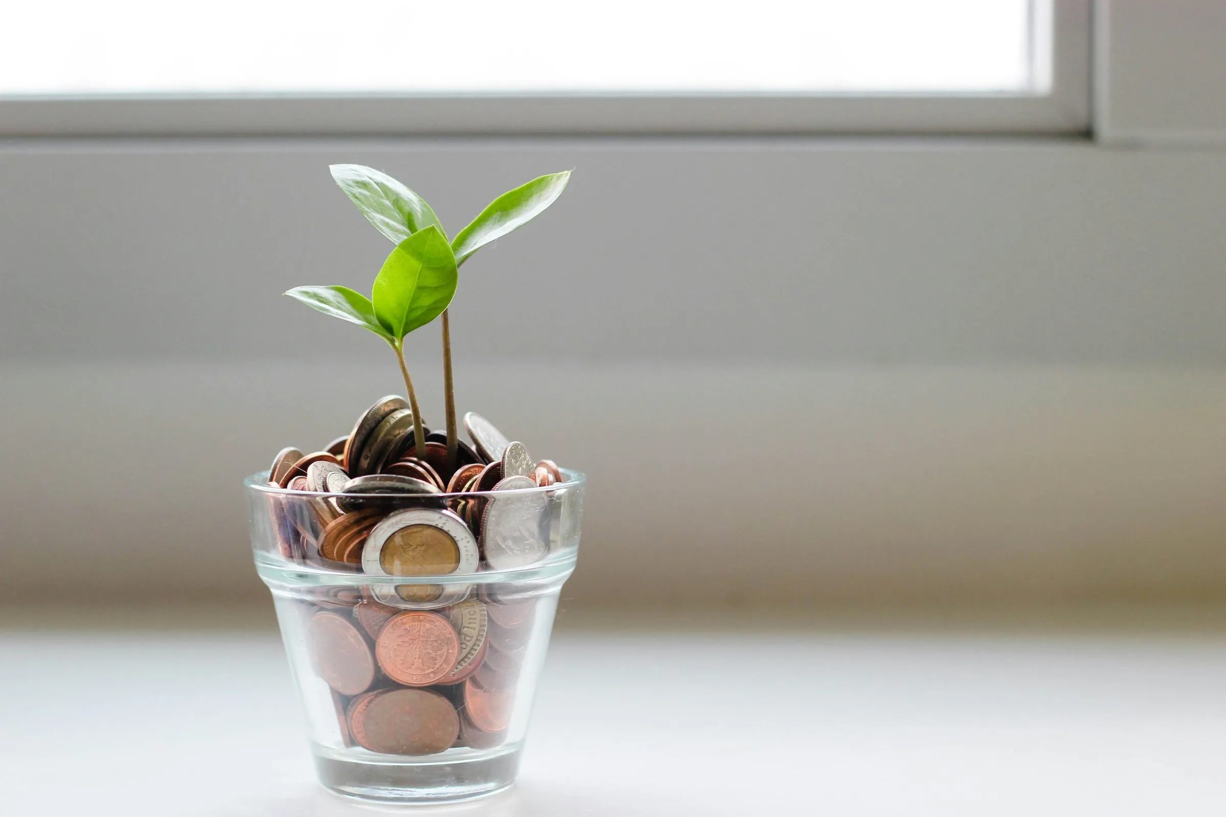 Coins filling a small glass jar on a windowsill, with a seedling growing out of them.